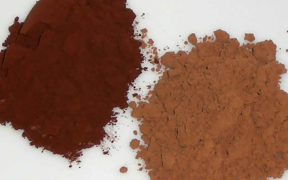 Ученые выясняли, что какао помогает сохранить здоровье при сидячем образе жизни