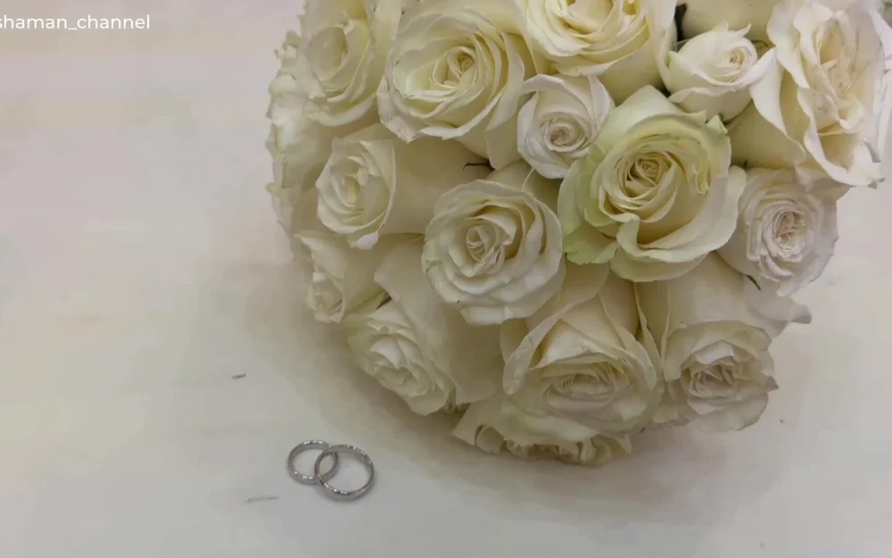 Shaman расписался с Мизулиной