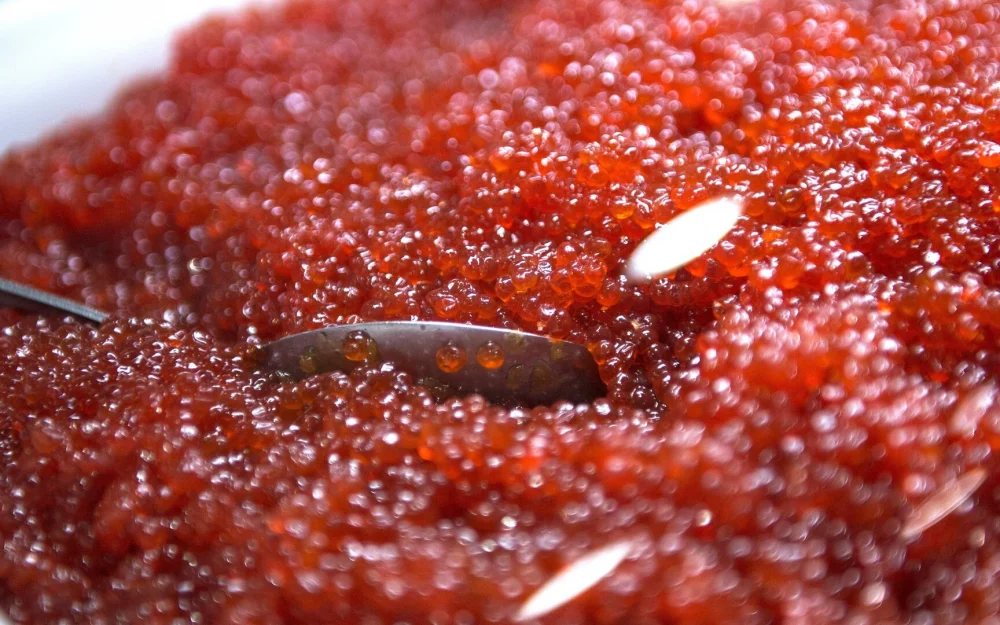 В Росрыболовстве рассказали, сколько можно хранить красную икру