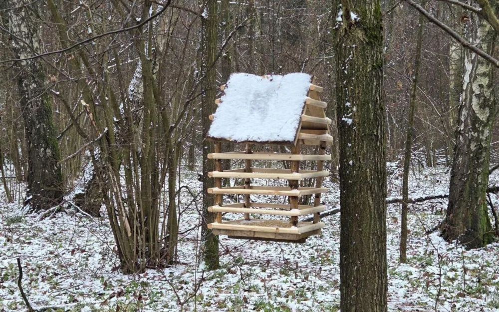 Столовые для птиц и белок открыли в Лосином острове