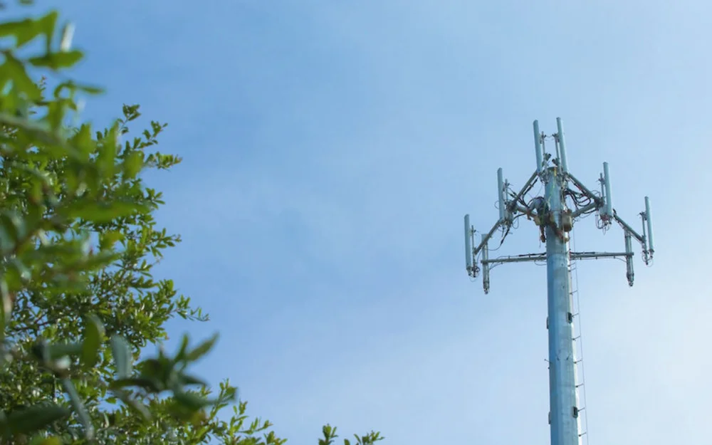 В Ленинградской области задержали завербованного диверсанта-наркомана