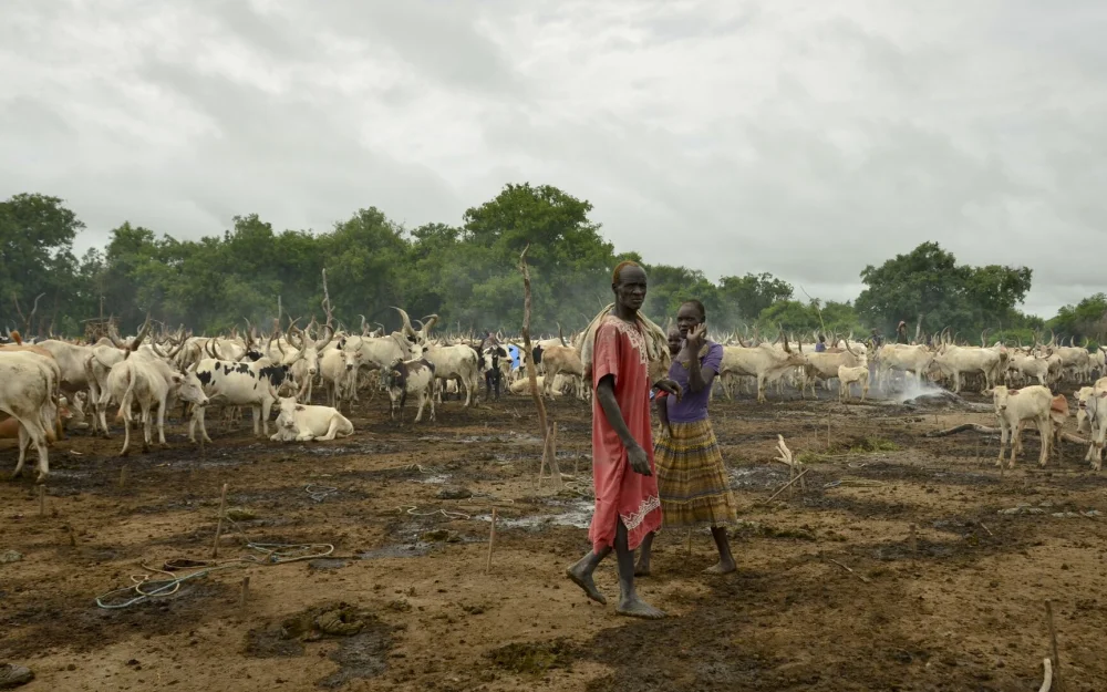 В ООН рассказали об угрозе голода в Южном Судане