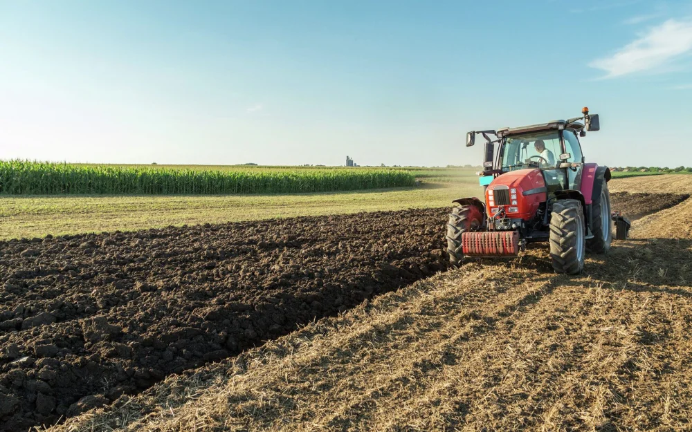 Аграрии Ингушетии перевыполнили план экспорта сельхозпродукции