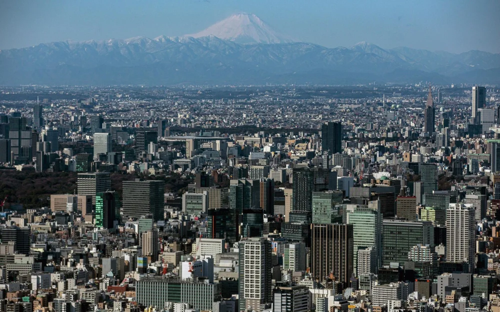 Премьер Японии рассказала о планах на редкоземельные металлы