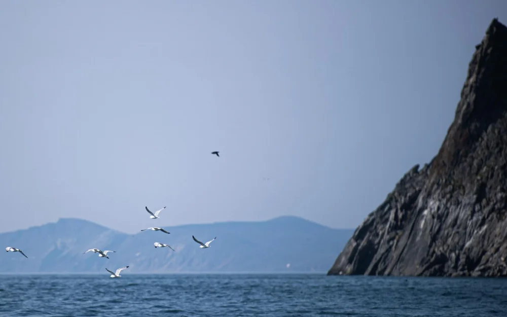 Автор проекта оценил стоимость тоннеля между Чукоткой и Аляской