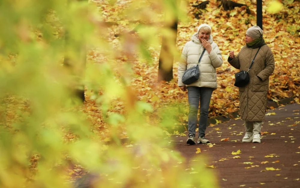 Вильфанд рассказал о погоде в Москве в начале ноября