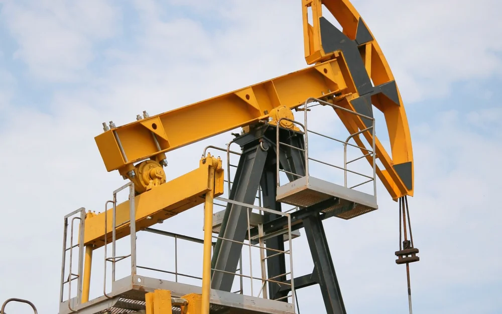 Россия с начала года открыла более 200 месторождений ТПИ