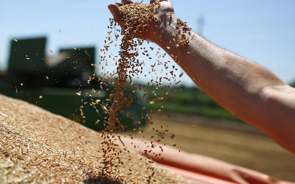 Татарстан отгрузил партию пшеницы во Вьетнам