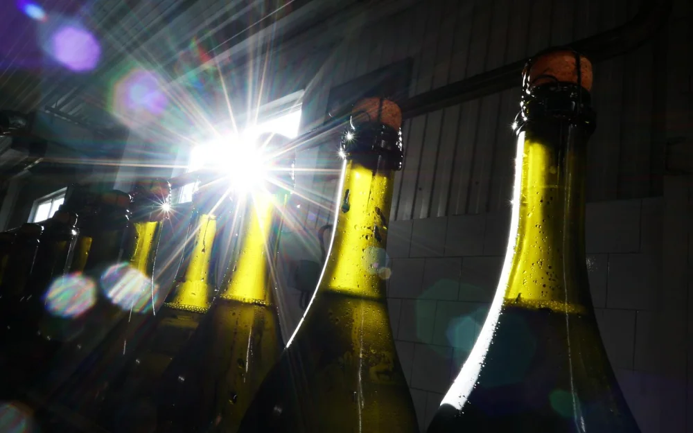 Роскачество ожидает роста доли российского вина на мировом рынке