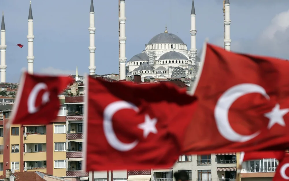 Турции пора показать решимость в урегулировании на Украине, заявил аналитик