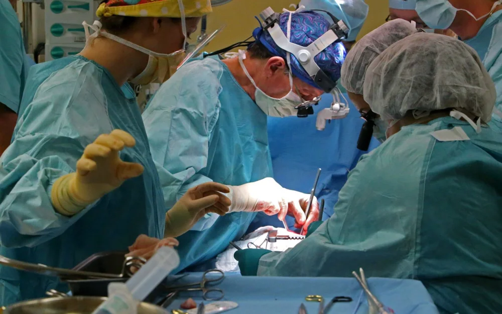 Названа профессия, на которую дольше всего необходимо учиться в России