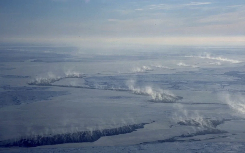 Россия и Китай договорились о сотрудничестве в Арктике