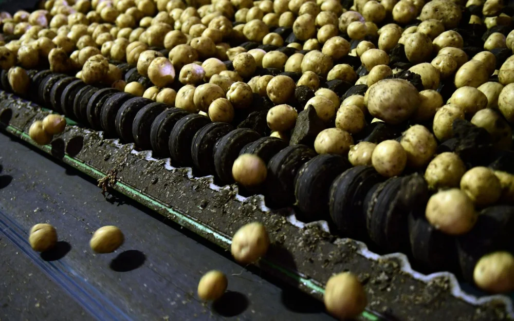 Эксперт рассказал, как решить кадровую проблему в АПК России