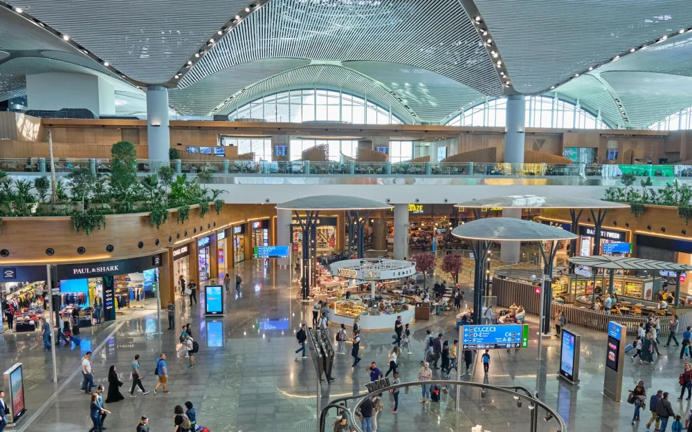 В Стамбульском аэропорту спасли сбежавшую кошку россиянки