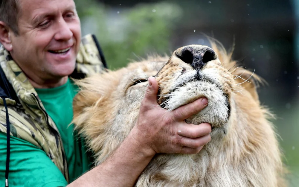 Директор крымского сафари-парка рассказал о судьбе напавшего на него льва