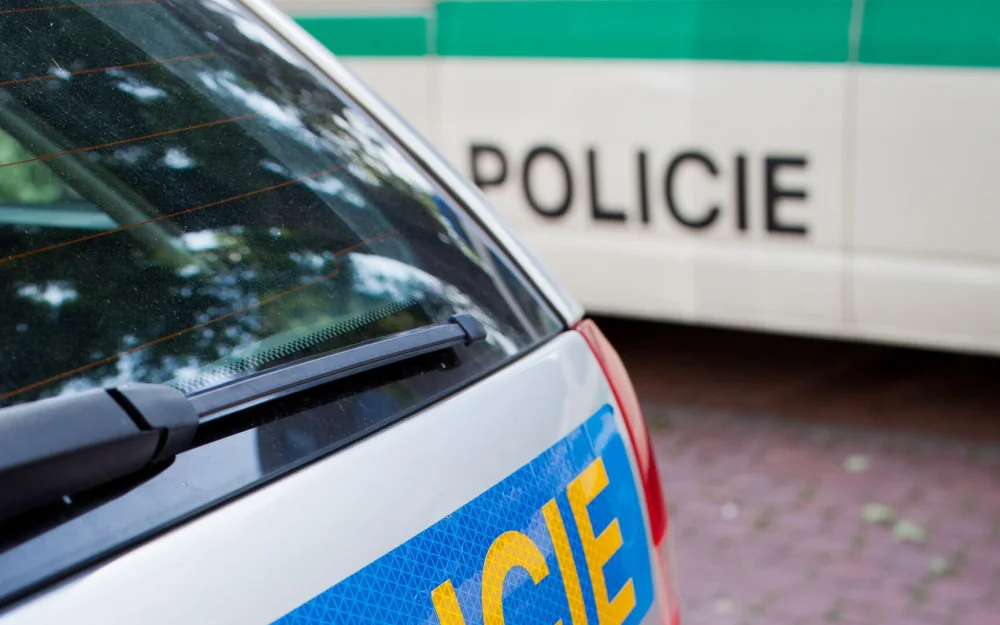 В Чехии один охотник случайно застрелил другого