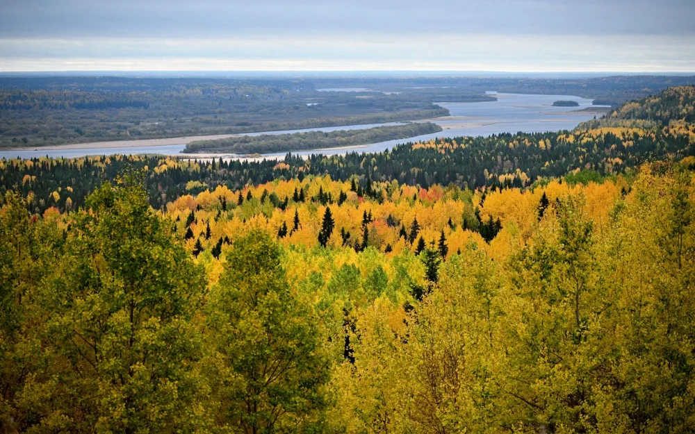Историю гражданской войны обсуждают на конференции в Архангельске