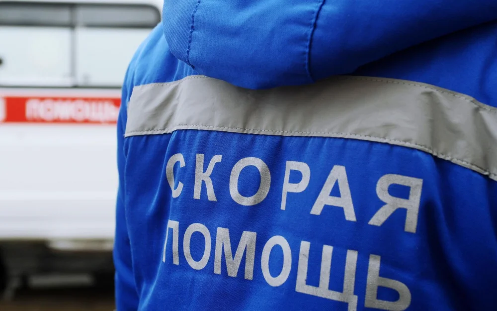 В ДТП с микроавтобусом с детьми под Волгодонском погибли два человека