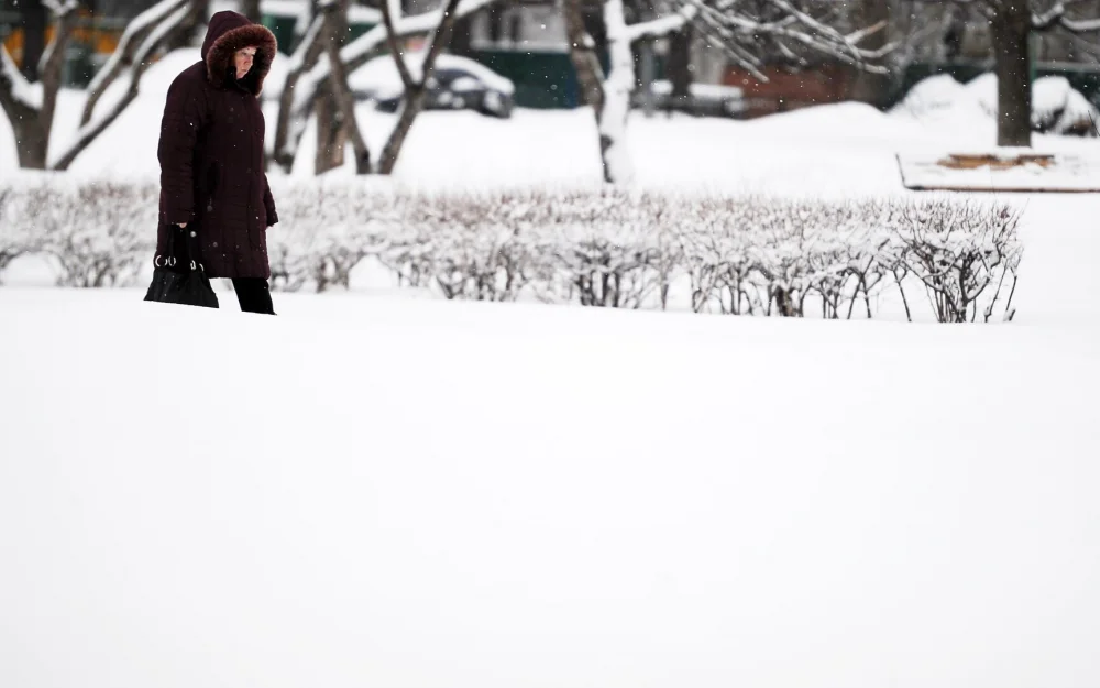 Синоптик рассказал, когда в Москве сформируется снежный покров