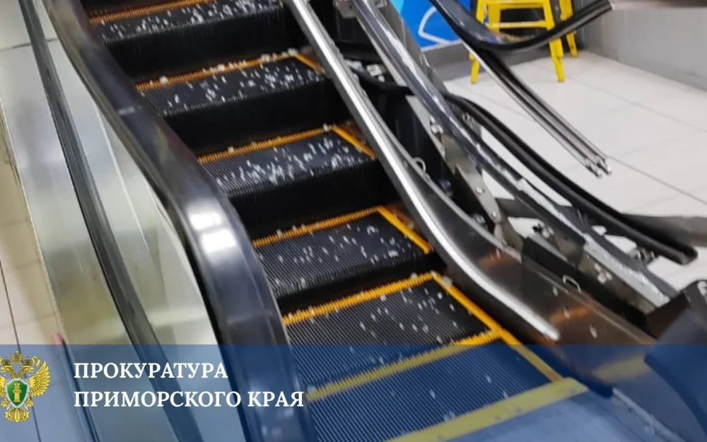 В Приморье у девочки руку зажало на эскалаторе в торговом центре