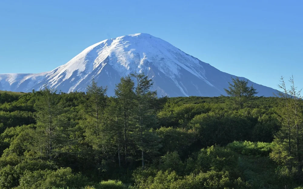 На Камчатке за сутки зафиксировали десять афтершоков