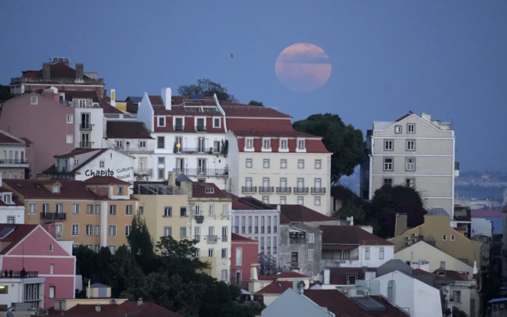 Визовый центр Португалии предупредил об отсутствии окошек до конца 2025 года