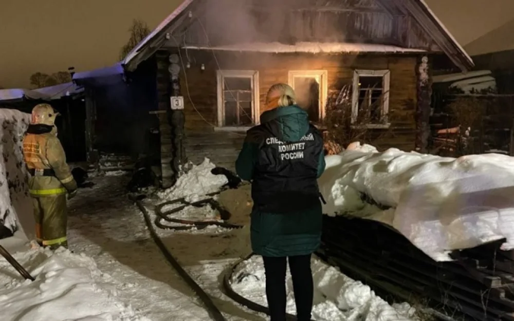 Два пенсионера погибли на пожаре в Архангельской области, идет проверка