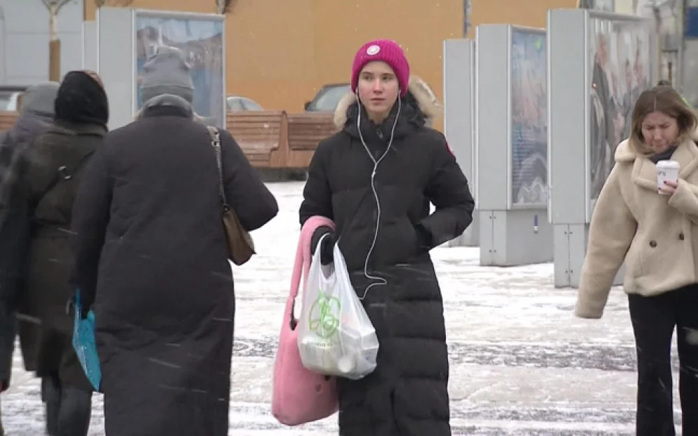 Первый снег в Петербурге прошел на месяц позже обычного