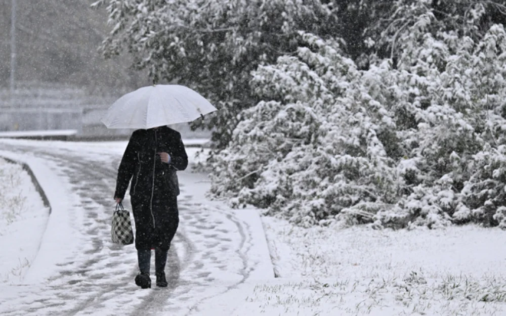 Вильфанд: в Москве со следующей недели ожидаются мокрый снег и гололедица
