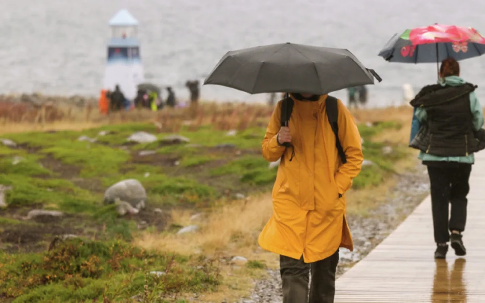 Тишковец: вдоль юга Европейской равнины пройдут слабые дожди