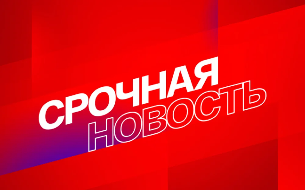 В ГД допустили возможность признания Bellingcat террористической организацией