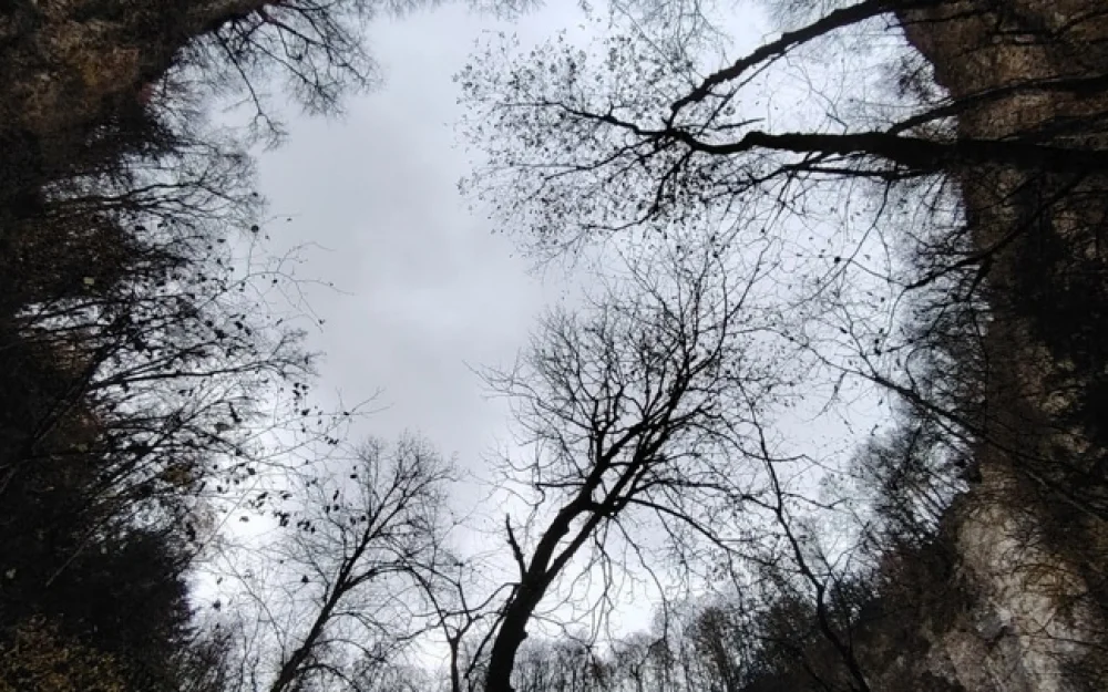 На Кубани спелеологи открыли в гипсовых провалах новую пещеру