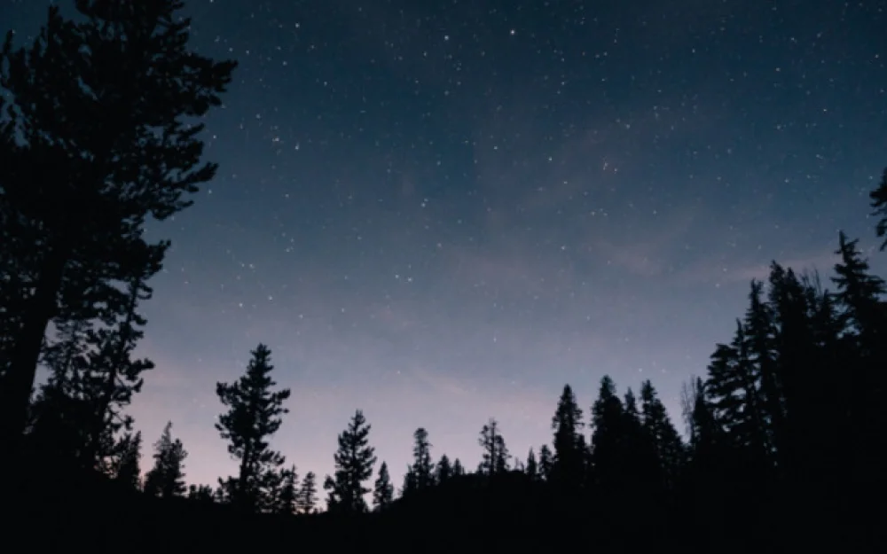 Над Тульской областью уничтожен украинский БПЛА