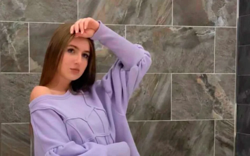 Дочь главы Мурманской области Чибиса обманули мошенники