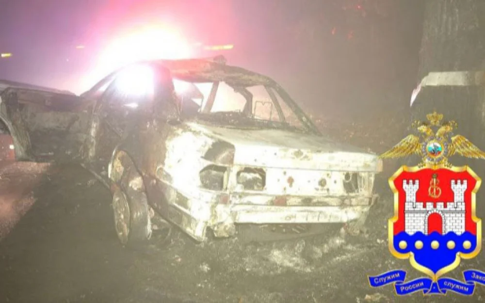 Два человека погибли под Калининградом, врезавшись на иномарке в дерево