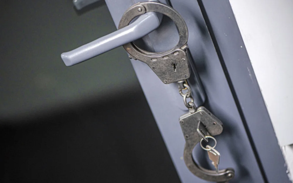 Посольство РФ подтвердило задержание россиянки по делу SOS Donbass во Франции