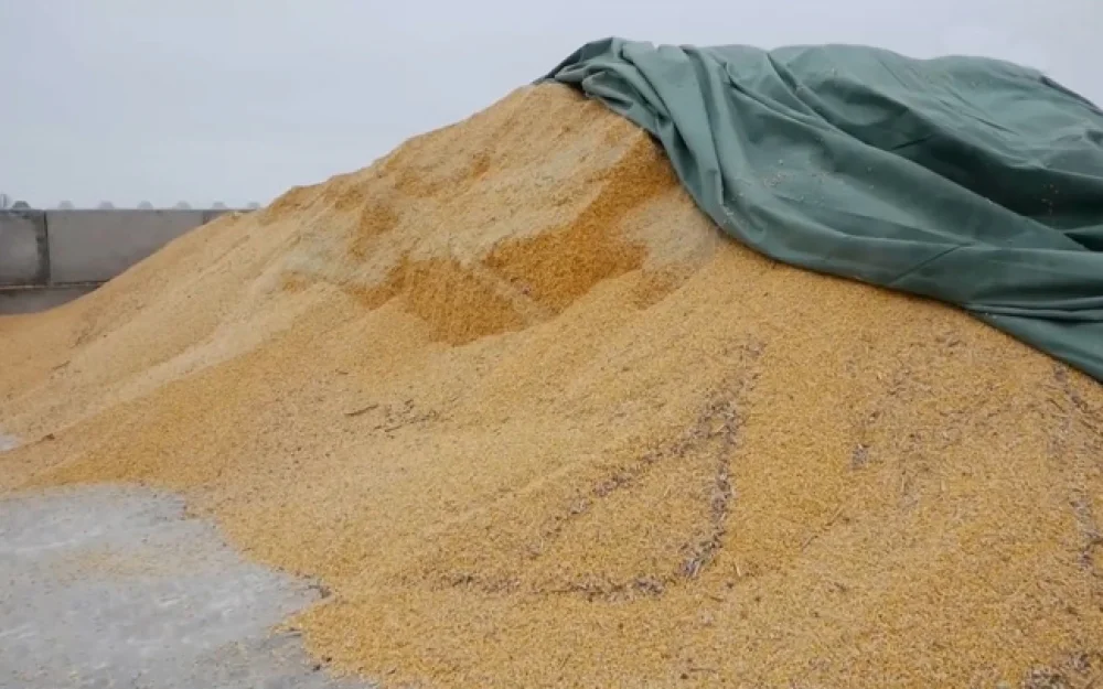 Рябков: время зерновой сделки ушло