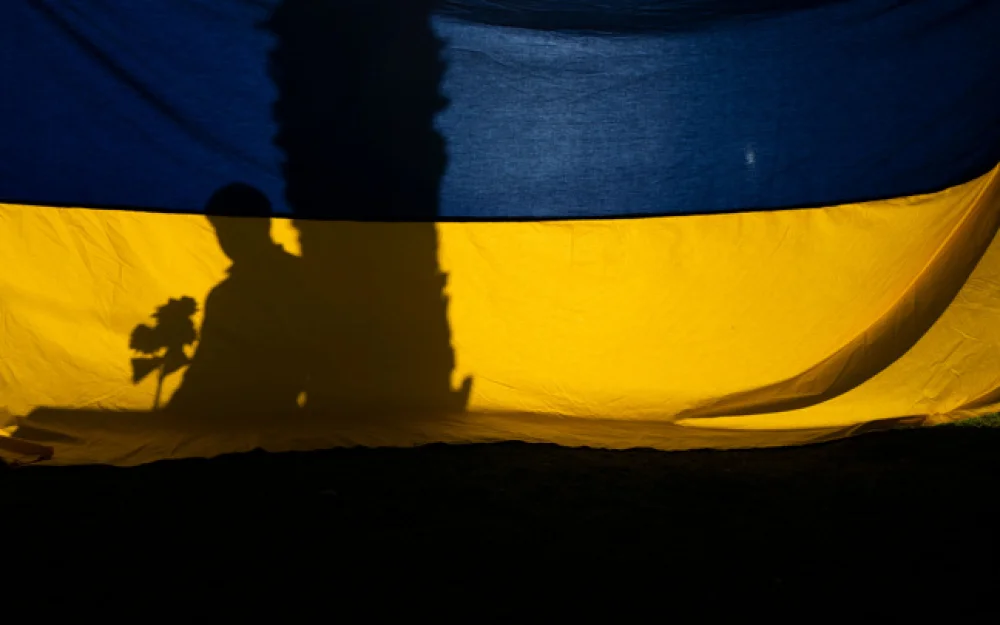 Эксперт Брайен: Киев саботажем в ЕС хочет добиться иностранного вмешательства