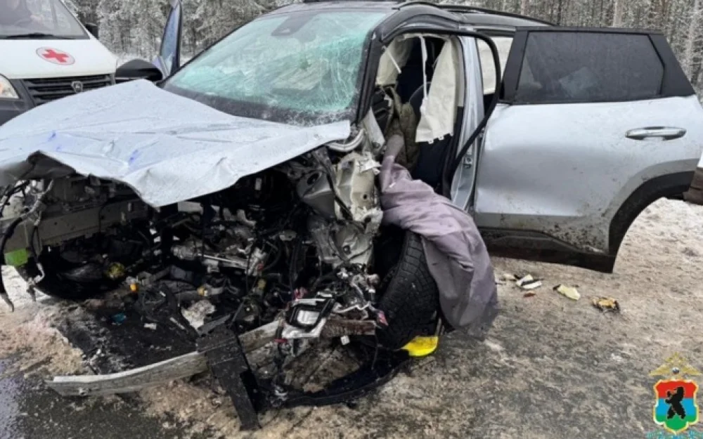 В Карелии 2 человека погибли, еще 2 пострадали при столкновении иномарок