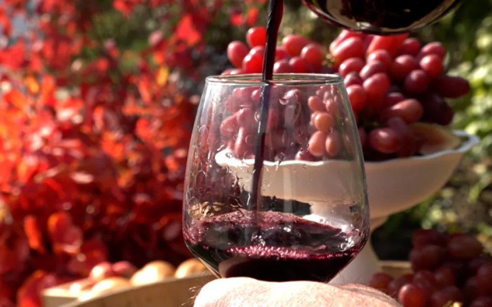 Россия в 2025 году займет шестое место в Европе по производству вина