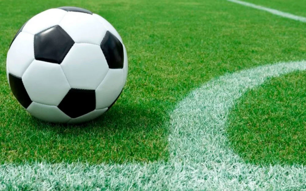 Тренер сербского ФК Раднички 1923 умер после потери сознания во время матча