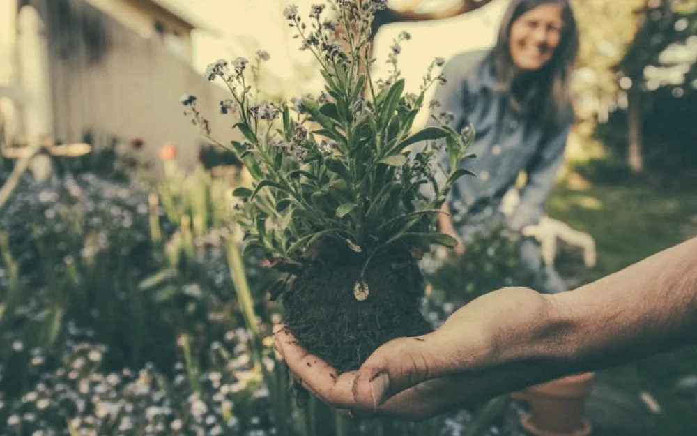 Всемирный день доброты 2025: когда отмечается и как поздравить