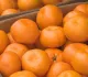 Поставки цитрусовых из Абхазии в Россию в этом сезоне выросли вдвое