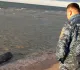 Причиной смерти обнаруженных на побережье Каспия тюленей могла стать инфекция