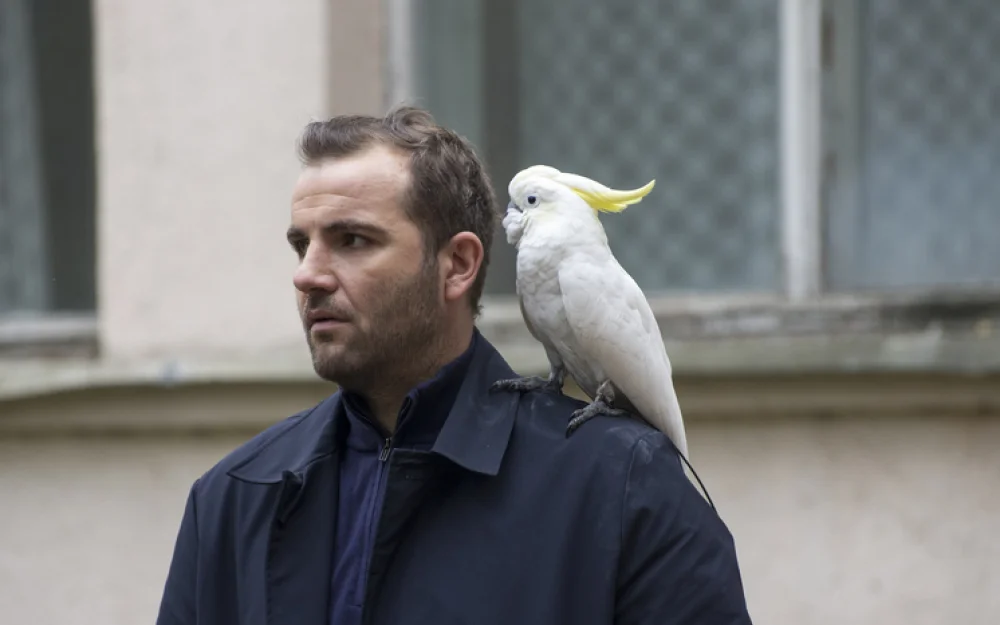 Максим Стоянов воспитывает попугая