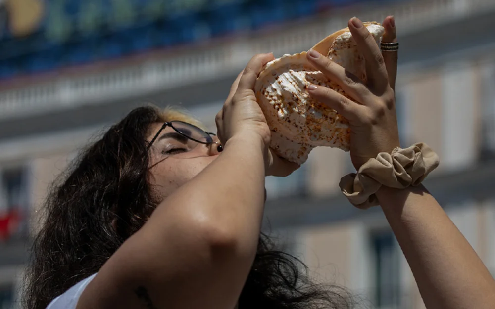 Найден один из древнейших известных музыкальных инструментов: звуки напоминают валторну