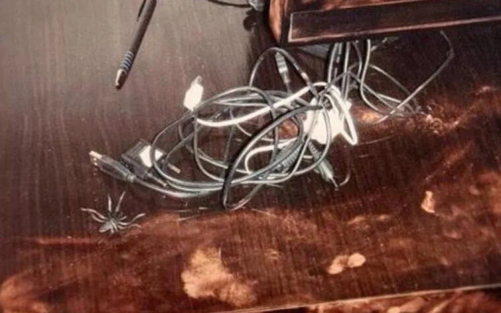 «Убитая девочка снилась по ночам»: новые детали убийства в московском пентхаусе