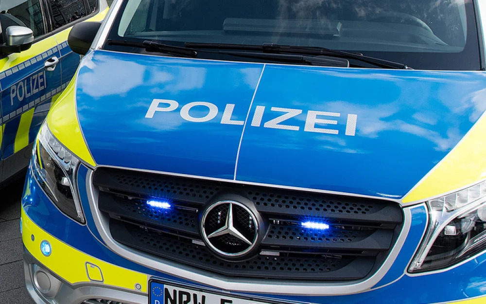 В лесу нашли обезглавленное тело оставившей младенца у стен монастыря матери