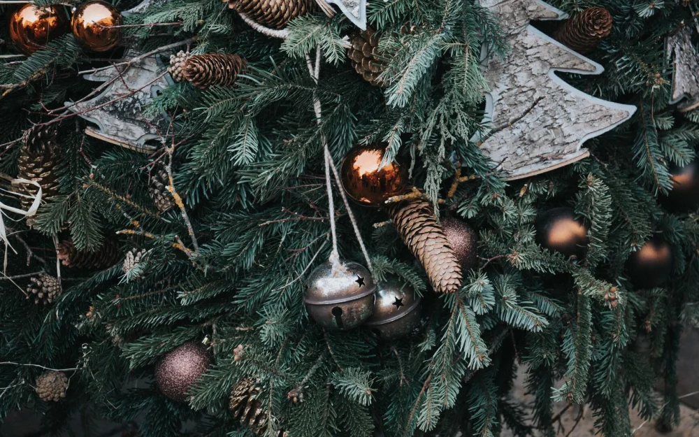 Россияне смогут купить около полумиллиона живых елок