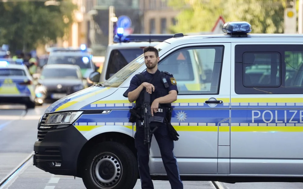 В Германии женщина случайно отправила свою кошку по почте